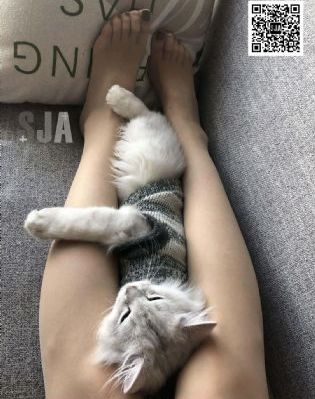 欧美性老太